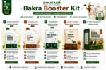 Dynafarm Bakra BoostUp Kit | Complete Weight Gainer & Bakra & Goat Nutrition Kit With Bakra Booster - Image 2