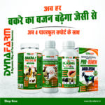 Dynafarm Bakra BoostUp Kit | Complete Weight Gainer & Bakra & Goat Nutrition Kit With Bakra Booster