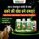 Dynafarm Bakra BoostUp Kit | Complete Weight Gainer & Bakra & Goat Nutrition Kit With Bakra Booster - Image 2