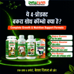Dynafarm Bakra BoostUp Kit | Complete Weight Gainer & Bakra & Goat Nutrition Kit With Bakra Booster - Image 4