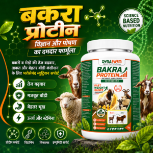 Dynafarm - Bakra Protein – Advanced Weight Gainer & Protein Supplement for Bakra & Goats Or Sheep | Pack of 2 Kg & 5 Kg Dynafarm - 01 3