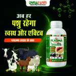 Plasma Lite – Advanced Blood Cell Formation & Hemoglobin Support & Liver Support - Image 2