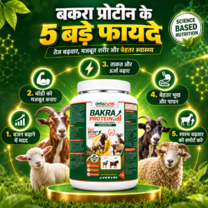 Dynafarm - Bakra Protein – Advanced Weight Gainer & Protein Supplement for Bakra & Goats Or Sheep | Pack of 2 Kg & 5 Kg Dynafarm - 02 2