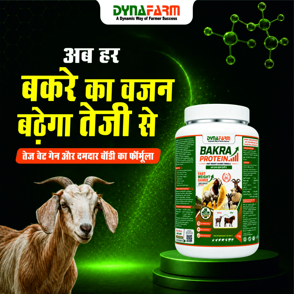 Dynafarm - 02 3