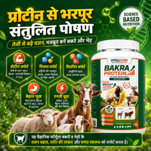 Dynafarm - Bakra Protein – Advanced Weight Gainer & Protein Supplement for Bakra & Goats Or Sheep | Pack of 2 Kg & 5 Kg Dynafarm - 04 3