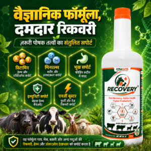Dynafarm - Recovery – Advanced Instant Energy, Metabolic Recovery & Vitality Support Formula For Livestock Dynafarm - 04