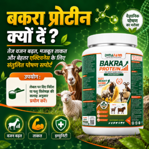 Dynafarm - Bakra Protein – Advanced Weight Gainer & Protein Supplement for Bakra & Goats Or Sheep | Pack of 2 Kg & 5 Kg Dynafarm - 05 3