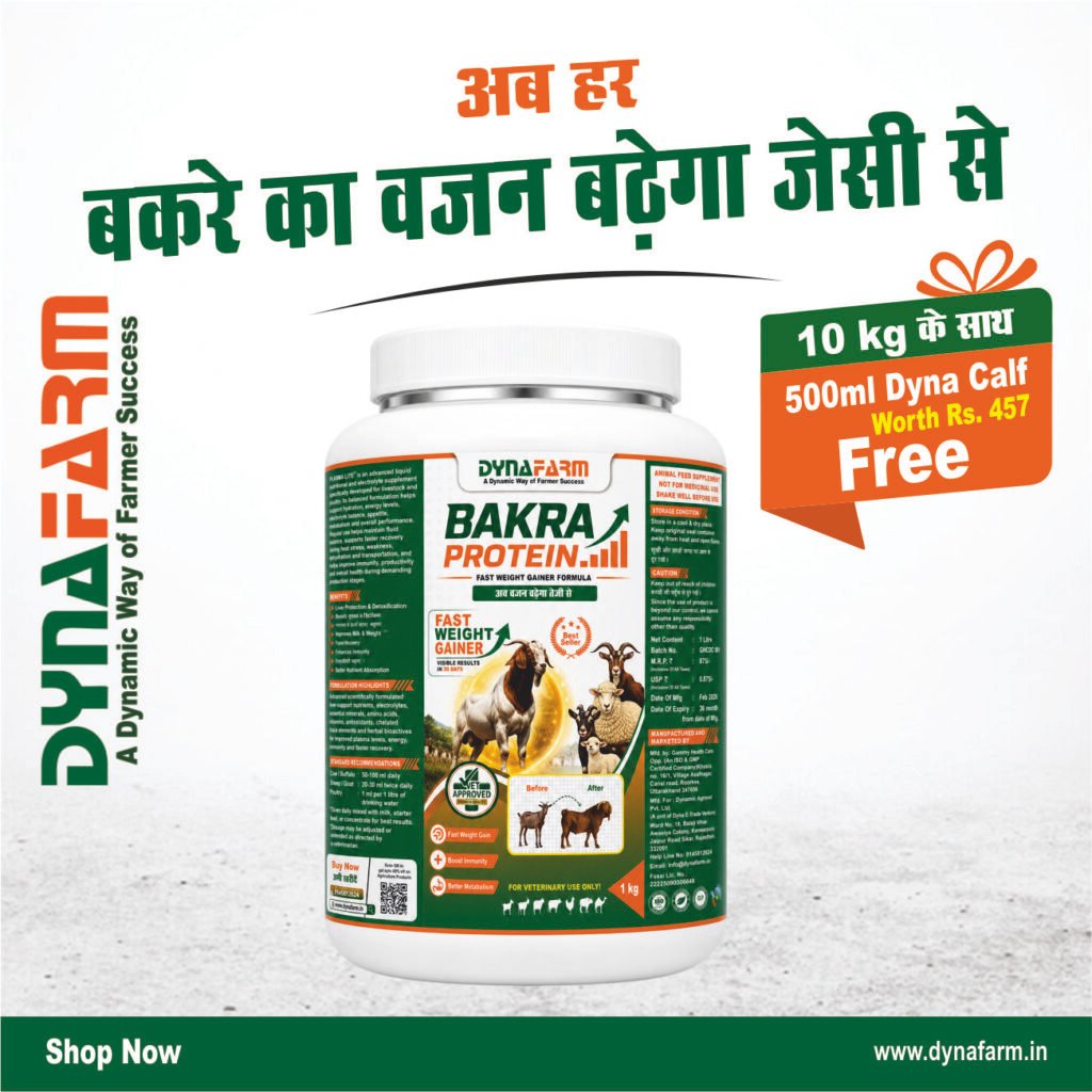 Dynafarm - bakra protein 01.jpg