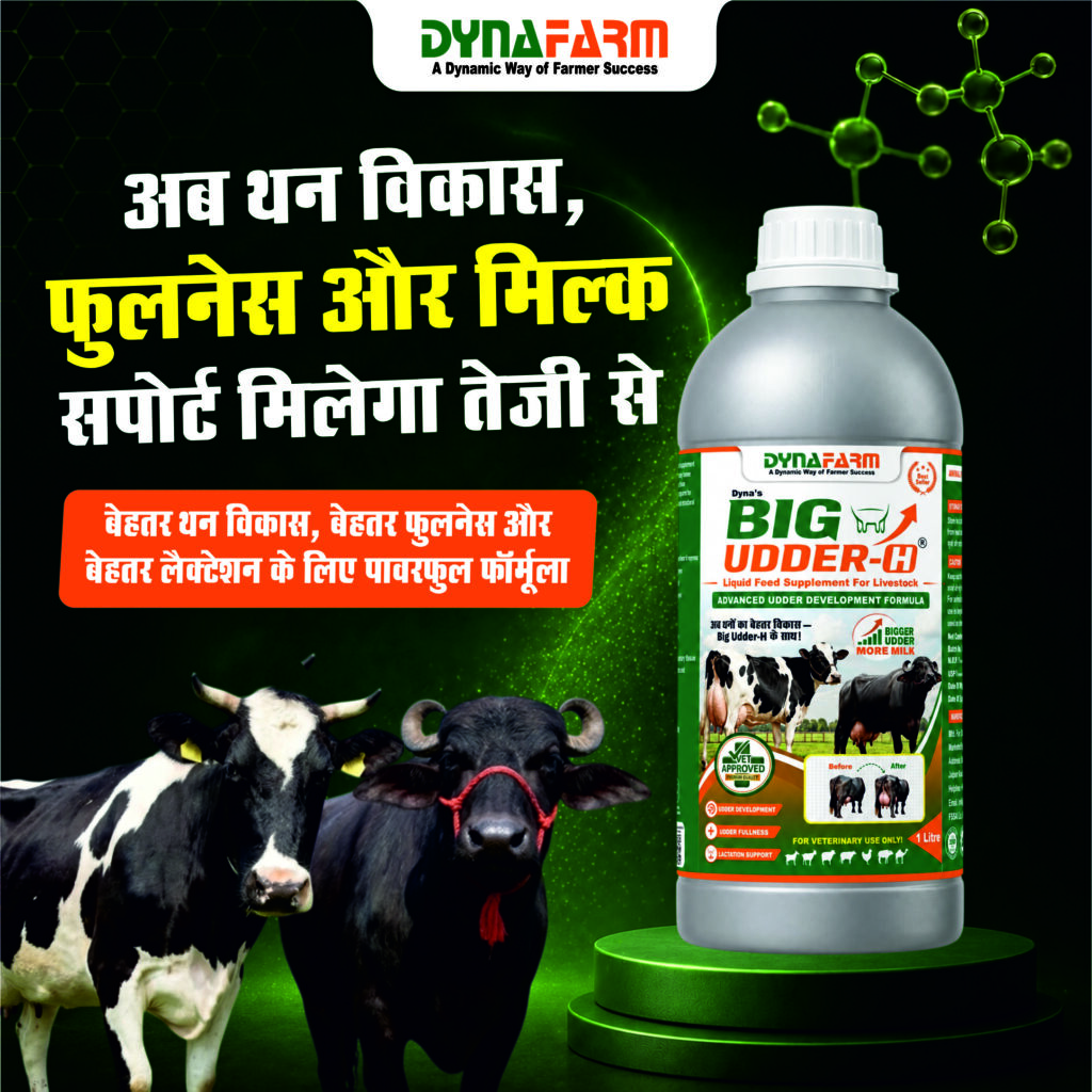 Dynafarm - big udder h 02