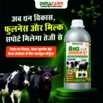 Big Udder-H – Advanced Mammary & Udder Development Nutrition - Image 2