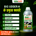 Big Udder-H – Advanced Mammary & Udder Development Nutrition - Image 3