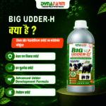 Big Udder-H – Advanced Mammary & Udder Development Nutrition - Image 4