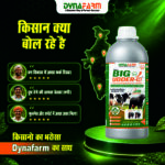 Big Udder-H – Advanced Mammary & Udder Development Nutrition - Image 6