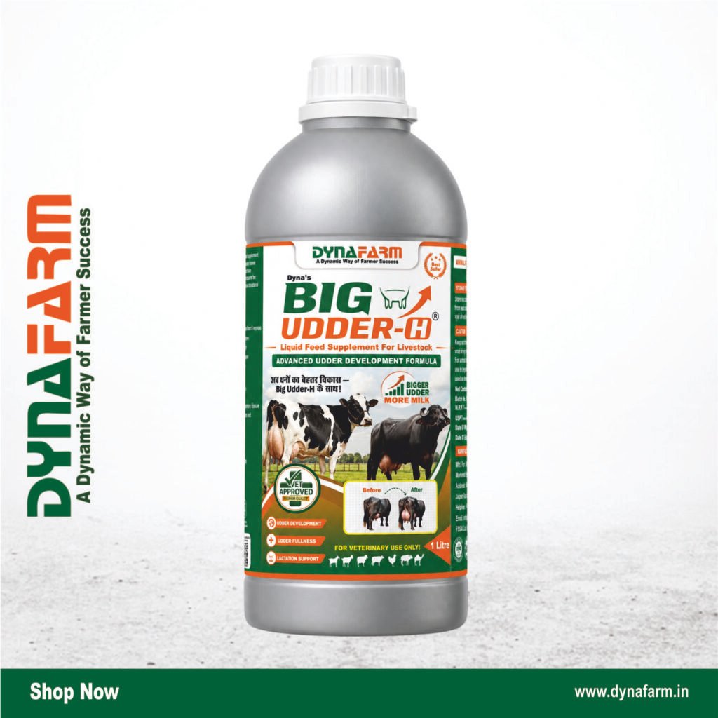 Dynafarm - big udder.jpg