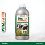Big Udder-H – Advanced Mammary & Udder Development Nutrition