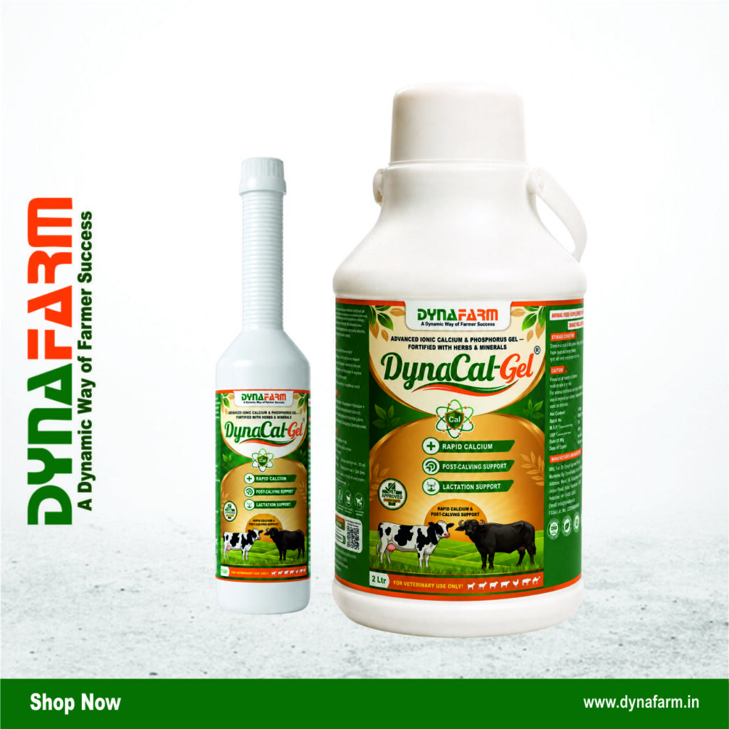 Dynafarm - dyna cal gel.jpg