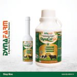 Dyna Cal Gel – Advanced Ionic Calcium Gel for Cattle & Buffalo