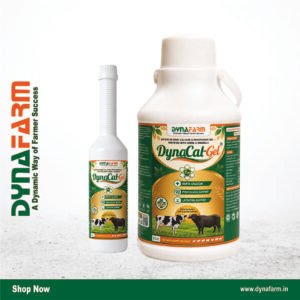 Dyna Cal Gel – Advanced Ionic Calcium Gel for Cattle & Buffalo