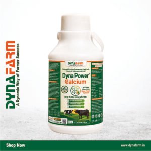 Dyna Power Calcium – Advanced Chelated Calcium For Livestock