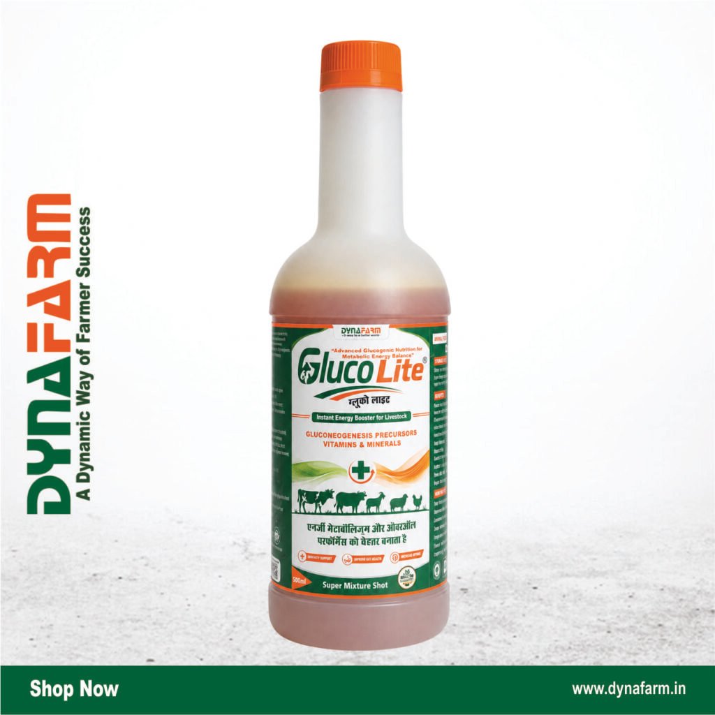 Dynafarm - gluco lite.jpg