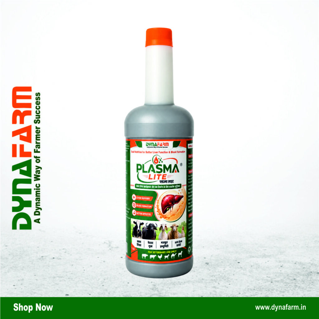 Dynafarm - plamsa lite 01.jpg