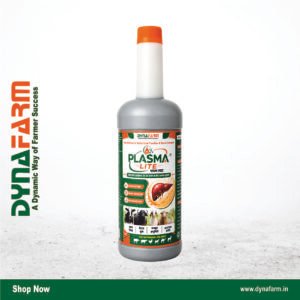 Plasma Lite – Advanced Blood Cell Formation & Hemoglobin Support & Liver Support