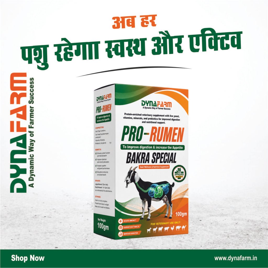 Dynafarm - pro rumen and bakra sp.jpg