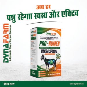 Dyna Pro Rumen – Advanced Rumen & Digestive Support Supplement for Livestock
