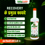 Recovery – Advanced Instant Energy, Metabolic Recovery & Vitality Support Formula For Livestock - Image 3