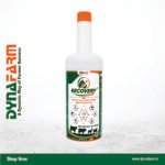 Recovery – Advanced Instant Energy, Metabolic Recovery & Vitality Support Formula For Livestock