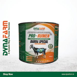 Dyna Pro Rumen Bakra Special – Advanced Rumen & Digestive Support for Goats & Sheep