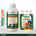 No Repeat + Omega Fert Breeding Support Combo for Silent Heat, Repeat Breeding, Conception & Fertility Support Combo