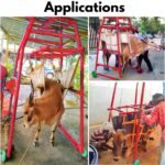 Cow Lifting Machine for Cattle & Buffalo - Image 2
