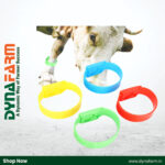 Godhan Cow Leg Band | Durable TPU Material | Cattle Identification Band
