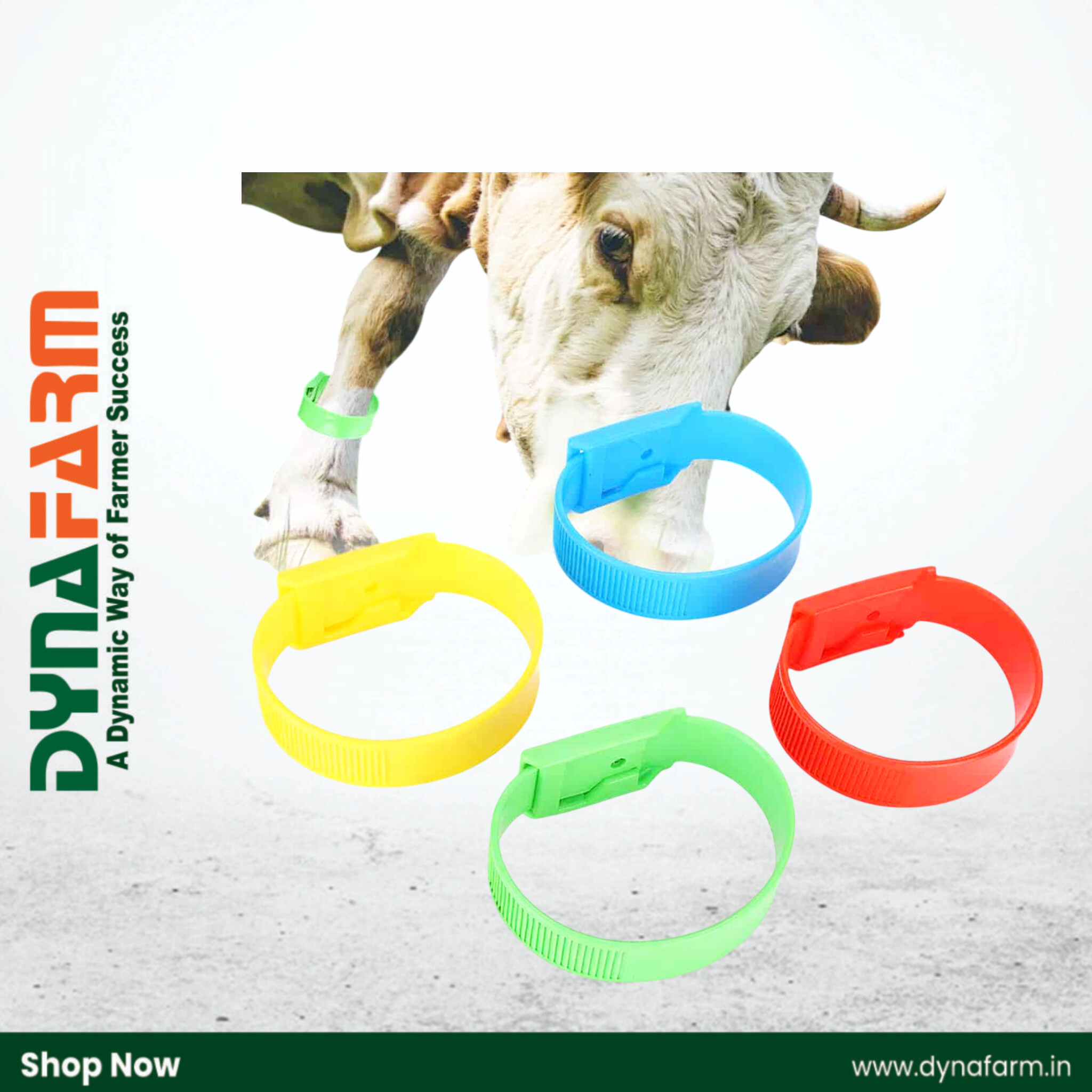 InShot_20261010_171044566.jpg Godhan Cow Leg Band | Durable TPU Material | Cattle Identification Band - Image 1