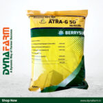 Berrysun Atra-G 50 – Atrazine 50% WP Herbicide