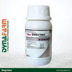 Berrysun Emectra – 2,4-D Amine Salt 58% SL Herbicide