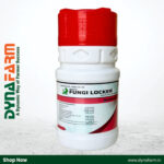 Berrysun Fungi Locker – Tebuconazole 10% + Sulphur 65% WG Fungicide