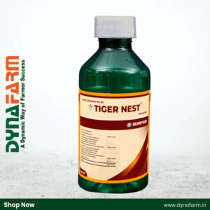 Berrysun Tiger Nest – Lambda-cyhalothrin 5% EC Insecticide