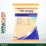 Berrysun No Scape – Fipronil 80% WG Insecticide