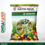 Berrysun Hathi Raja – Humic 98