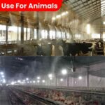 Godhan Fogger System – Automatic Mist Cooling Solution for Dairy & Poultry Farms - Image 6