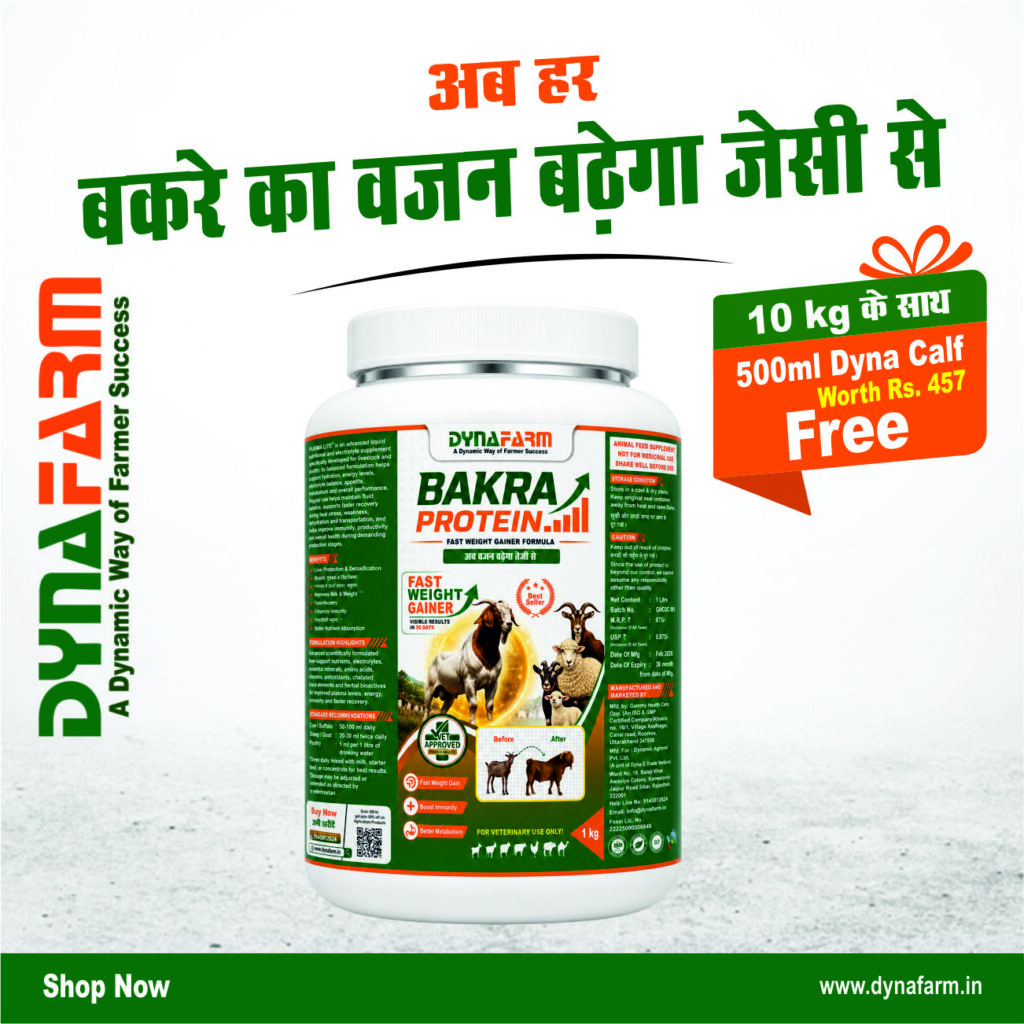 Dynafarm - bakra protein 01.jpg