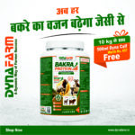 Bakra Protein – Advanced Weight Gainer & Protein Supplement for Bakra & Goats Or Sheep | Pack of 2 Kg & 5 Kg