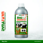 Big Udder-H – Advanced Mammary & Udder Development Nutrition | 2Litre