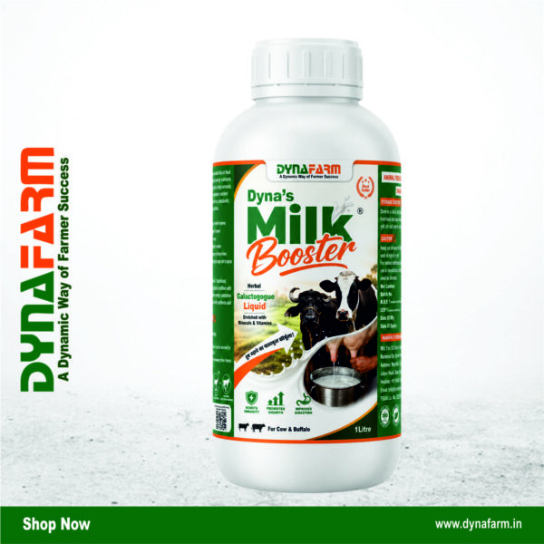 dmb Dyna Milk Booster for Cow & Buffalo – Herbal Milk Booster & Lactation Support Supplement | 2Litre & 3Litre Pack - Image 1