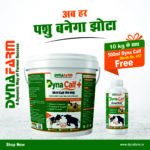 Dyna Calf+ Advanced Immunity & Growth Support Supplement | 2Kg & 5Kg Pack