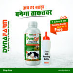 Dyna Calf Immunity And Growth Support | Calf Nutrition Supplement | Pack of 2.5 Litre & 5 Litre