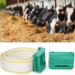 Godhan Cow Neck Belt – Cattle Neck Strap for Dairy Farms - Image 6